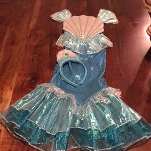 Girl’s Turquoise Mermaid Halloween costume.  GUC